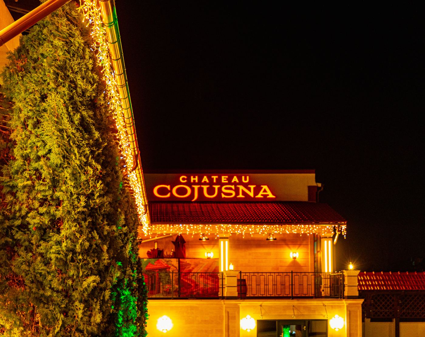 Chateau Cojușna — fotografia 3
