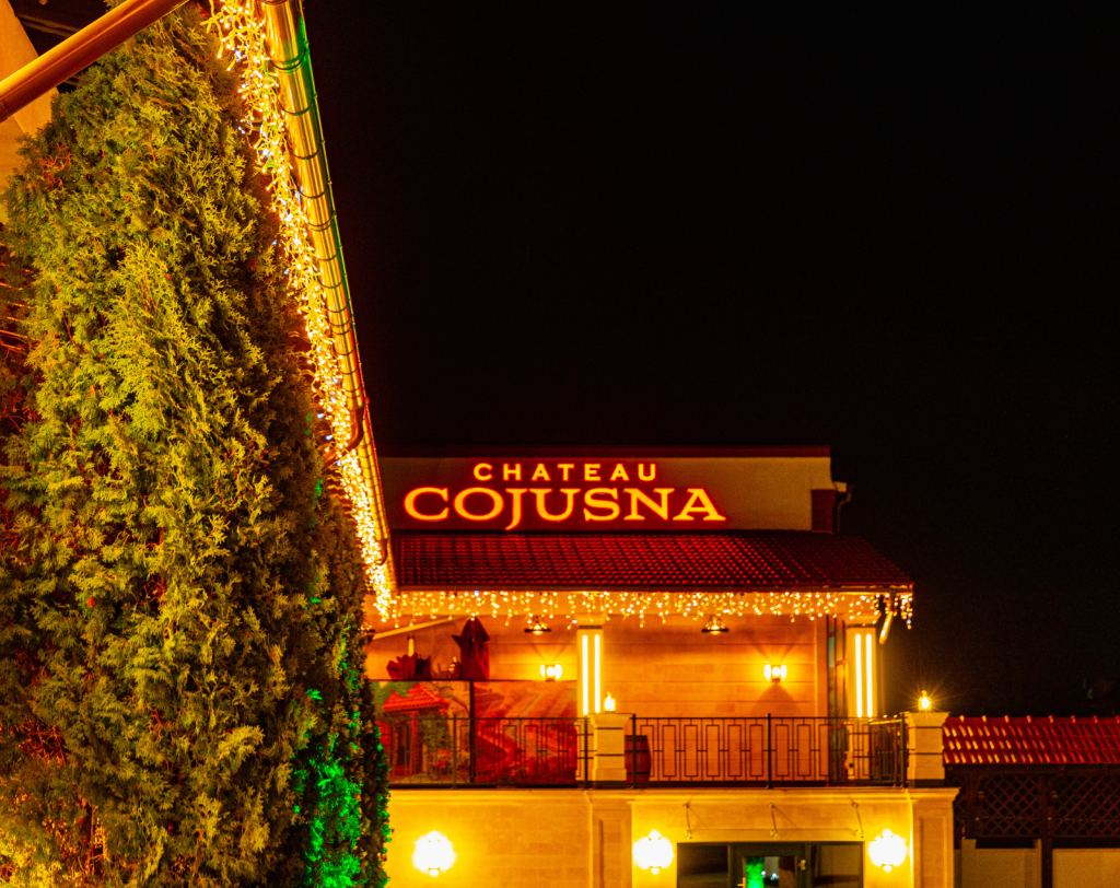 Chateau Cojușna — fotografia 4