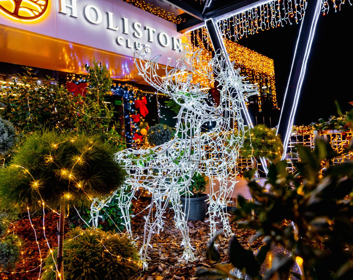 Holiston — fotografia 3